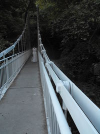 View of footbridge in forest