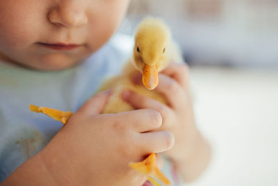 Little girl holding a yellow duckling in her hands.