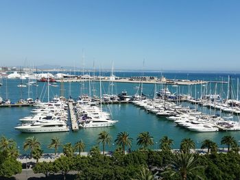 Boats in harbor