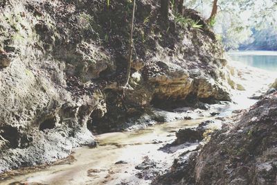 Scenic view of waterfall