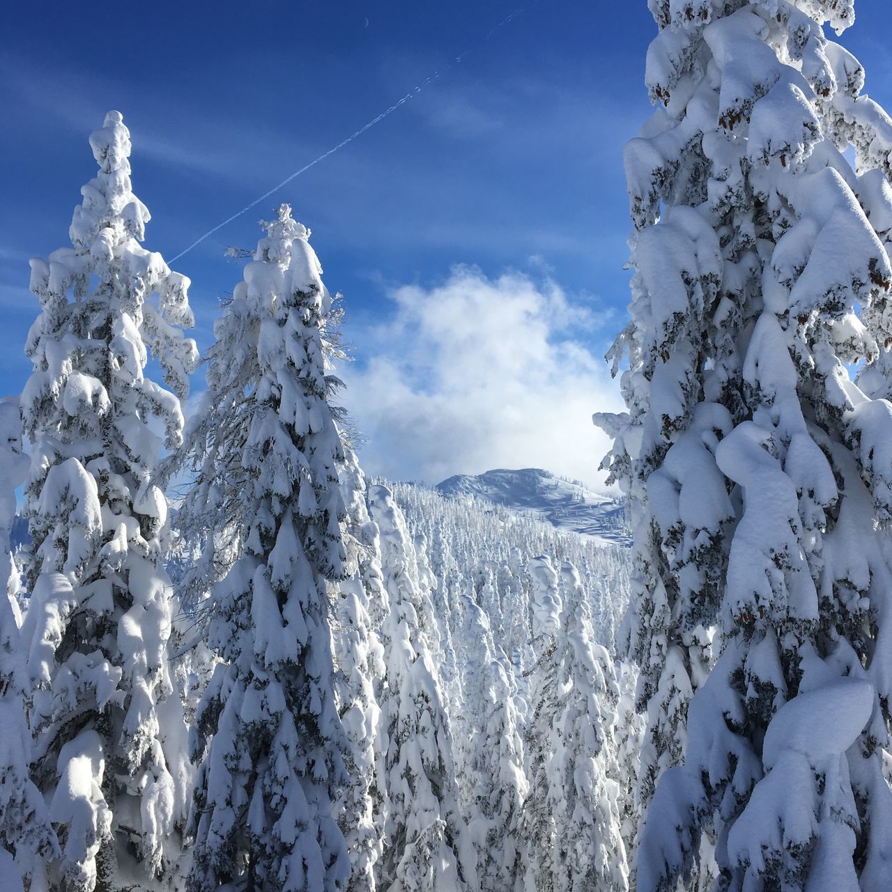 LOW ANGLE VIEW OF SNOWCAPPED MOUNTAINS AGAINST SKY DURING WINTER