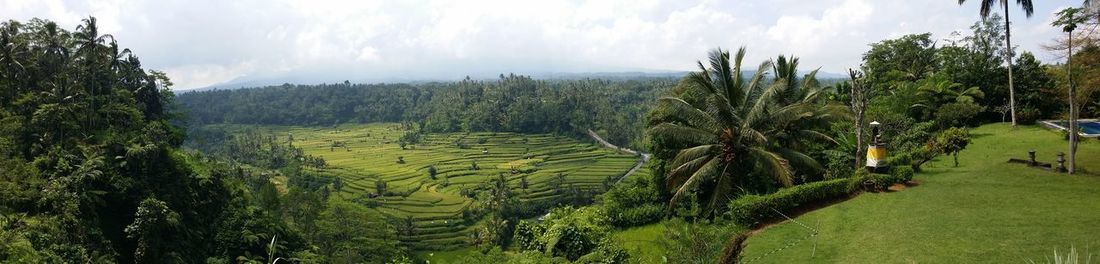 Panoramic view of agricultural field against sky