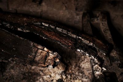 Close-up of bread