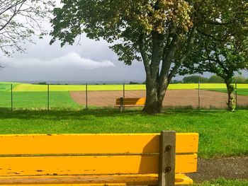 Trees on field against sky