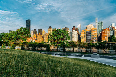 Trees and buildings in city against sky