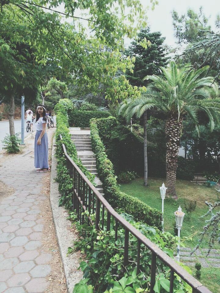 tree, growth, green color, footpath, plant, the way forward, nature, walking, park - man made space, grass, walkway, pathway, day, outdoors, rear view, sunlight, tranquility, in a row, incidental people