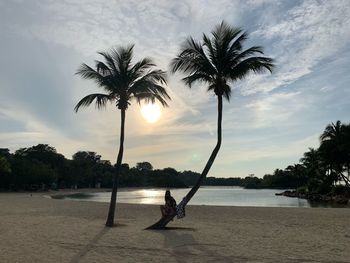 Woman sitting on palm tree at beach against sky