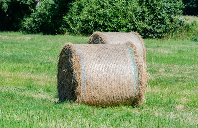 Hay bales on agricultural field