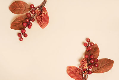 Autumn frame from red branches with berries and dried leaves on pastel background.