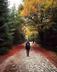 Rear view of woman walking on footpath