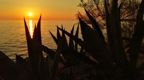 Scenic view of sea against orange sky