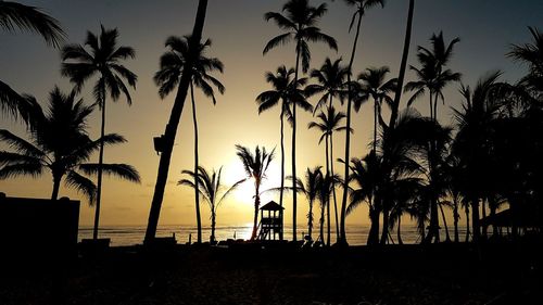 Silhouette palm trees on beach against sky during sunset