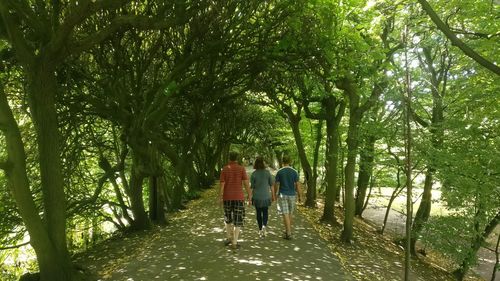 Rear view of women walking in forest