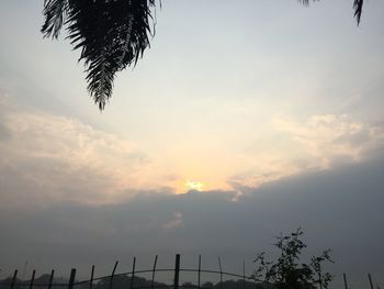 Low angle view of silhouette palm trees against sky during sunset