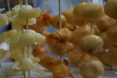 Close-up of italian cheese on sticks 