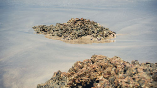 Close-up view of sea