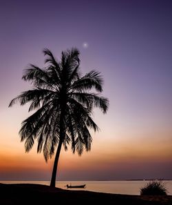Silhouette palm tree by sea against sky during sunset