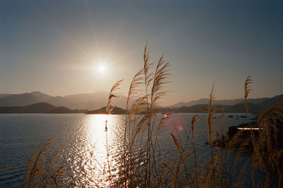 Scenic view of lake against sky during sunset