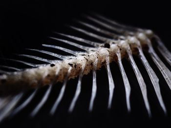 Macro shot of piano over black background