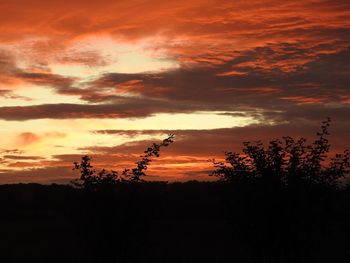 Silhouette trees against dramatic sky during sunset