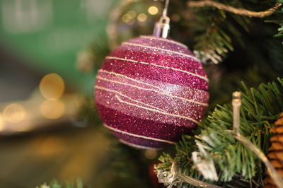 Close-up of christmas tree