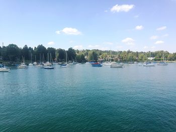 Sailboats moored in sea against sky