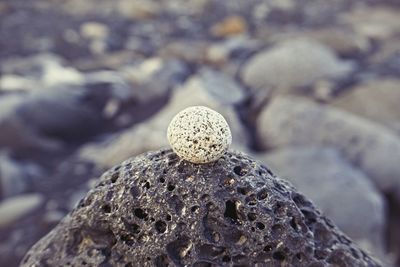 Close-up of stone on rock