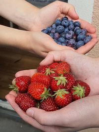 Midsection of person holding strawberries