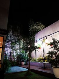 Palm trees by swimming pool against building at night