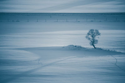 Scenic view of snow covered land