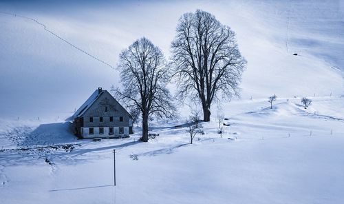 Snow covered bare trees and building against sky