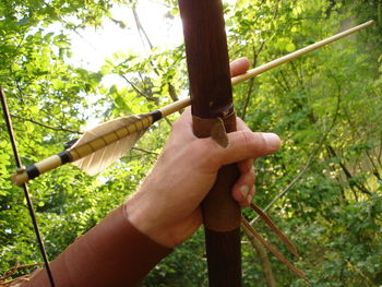 Close-up of man hand on tree trunk