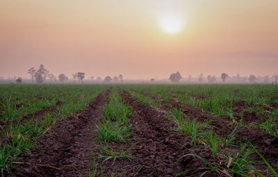 Scenic view of field against sky during sunset