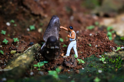 Close-up of stuffed toy on field