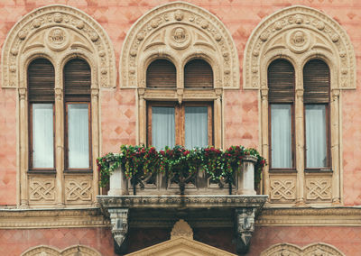 Potted plants on window