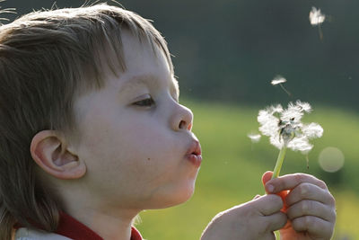 Close-up of cute boy blowing dandelion