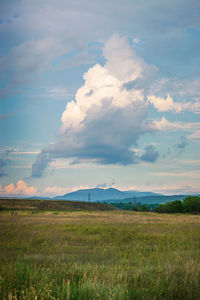 Scenic view of field against sky