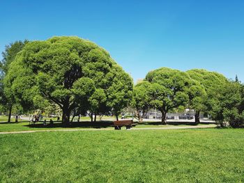 Trees on field against clear sky