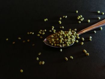 High angle view of vegetables on table against black background