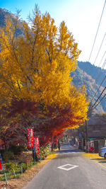 Road by trees against sky during autumn