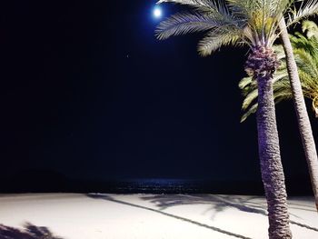 Scenic view of palm trees against clear sky at night