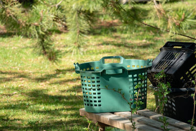 Information sign on field by trees in forest