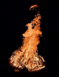 Close-up of bonfire against black background