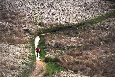 Rear view of man walking on road