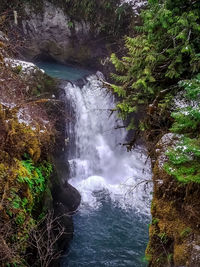 Scenic view of waterfall in forest