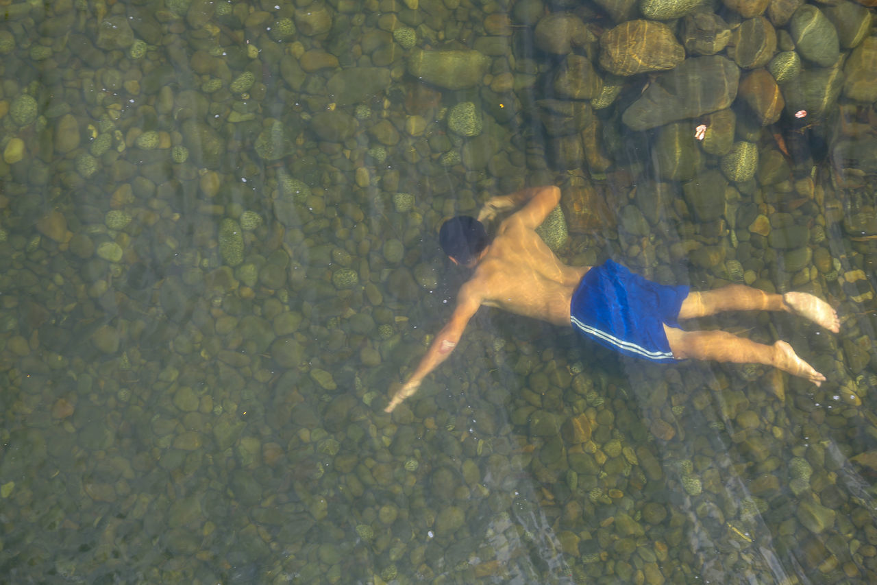 HIGH ANGLE VIEW OF FISH SWIMMING UNDERWATER