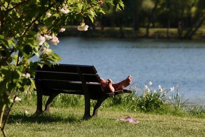 Man laying on bench by lake against plants