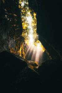 Sunlight streaming through trees and rock formation in forest