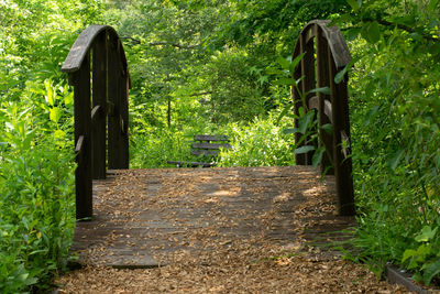 Footpath amidst trees in park