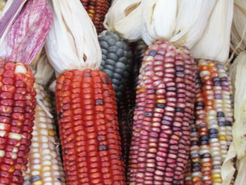 Close-up of vegetables for sale in market